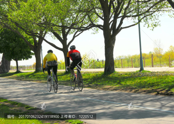 騎自行車在公園