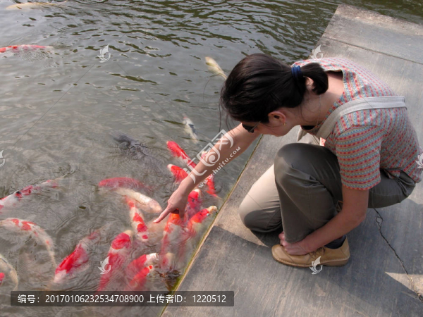 享受鯉魚