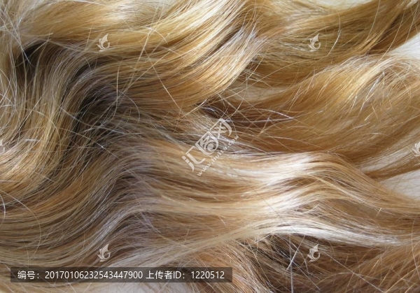 金色的頭發(fā)-匯圖網(wǎng) www.fosd68.com 金色的頭發(fā)