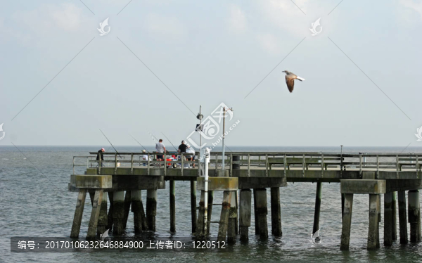釣魚碼頭