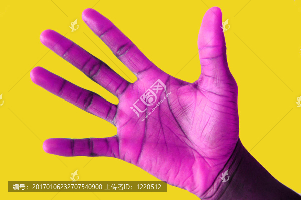紫色的手1