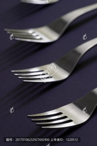 forks05