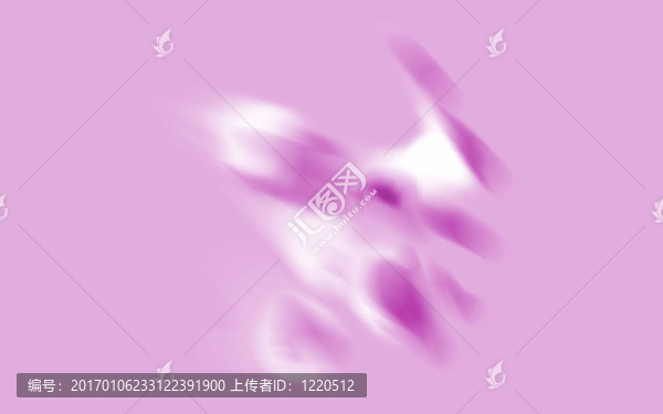 蘭花的幻想