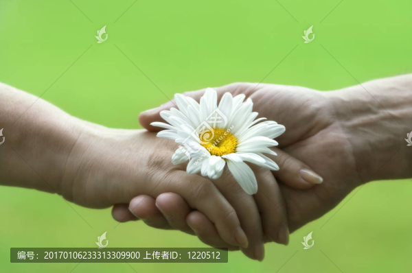 溫柔的愛