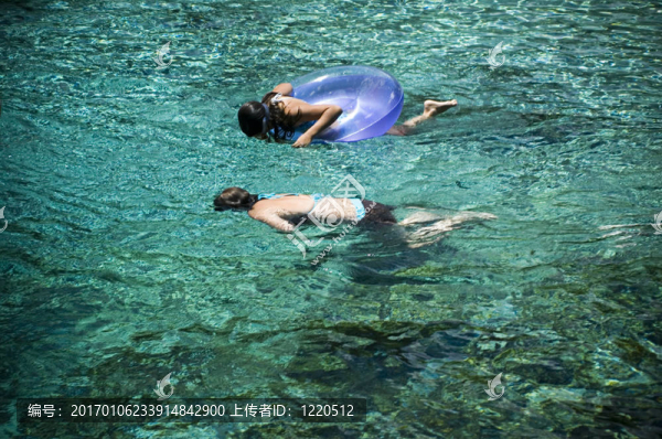 塊莖浮潛