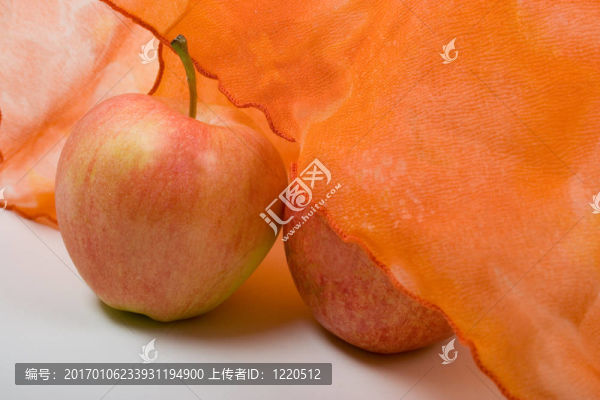 橙色害羞和大膽