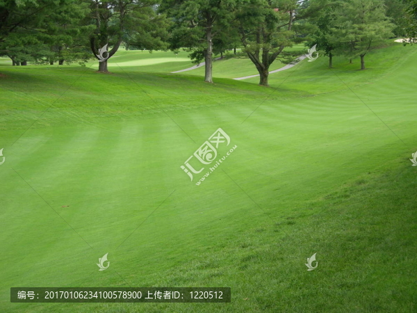 球道果嶺-匯圖網(wǎng) www.fosd68.com 球道果嶺