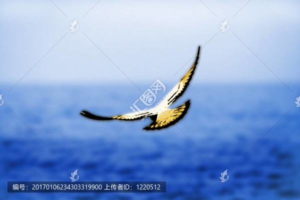 自由