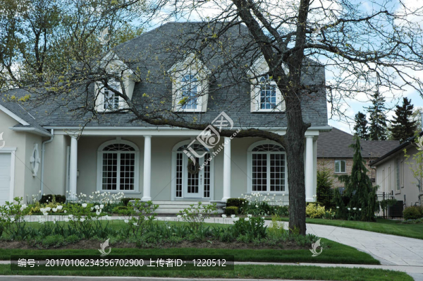 豪華的粉刷房子