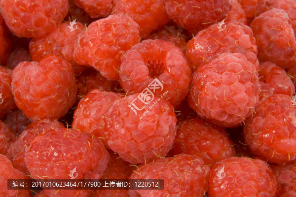 關(guān)閉覆盆子