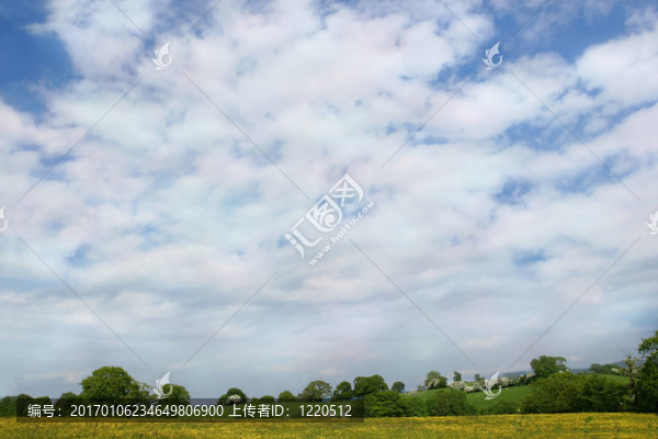 夏天的草地