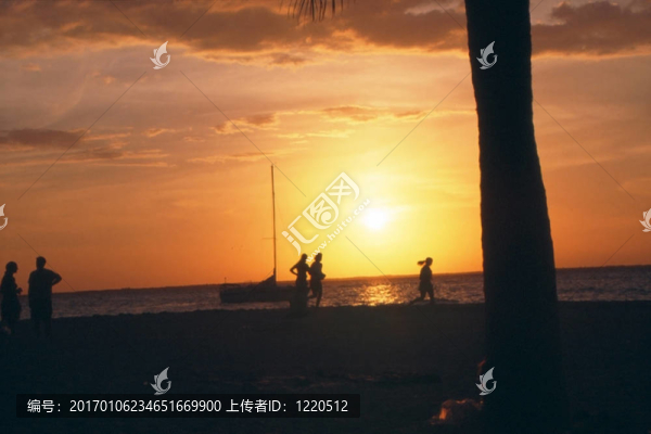 夕陽跑