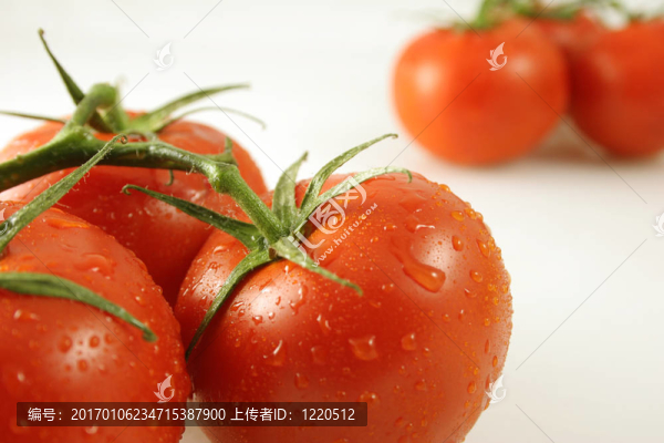 葡萄樹近而遠(yuǎn)