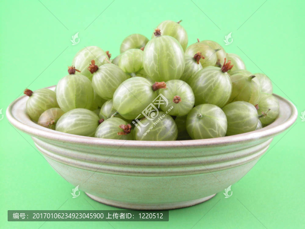醋栗
