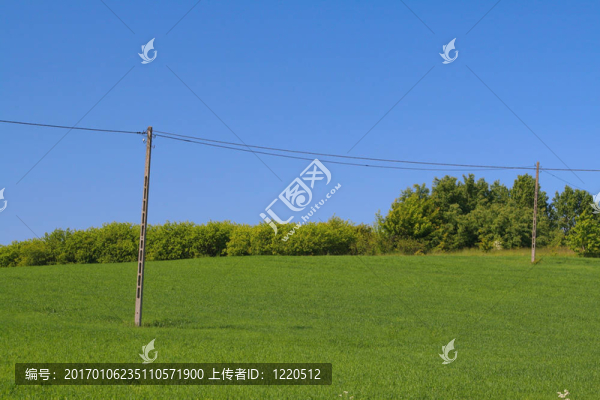 電話上的電線桿