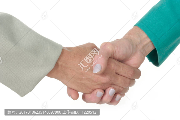 商業(yè)女性握手2