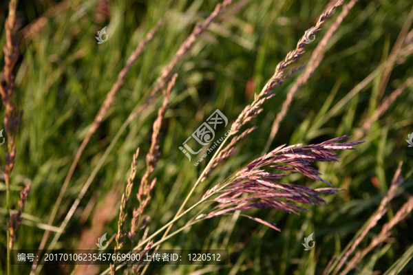 路的邊-匯圖網(wǎng) www.fosd68.com 路的邊