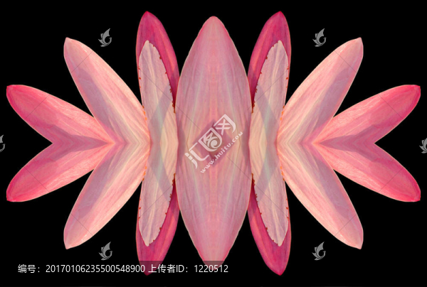 花瓣的力量