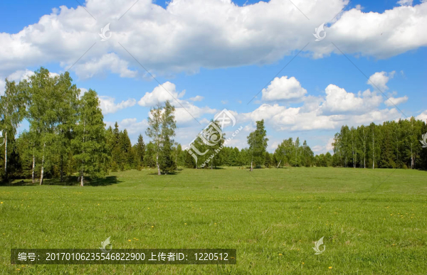 夏天的風(fēng)景