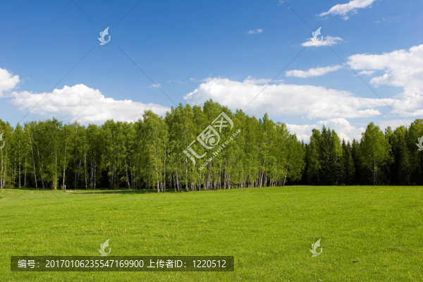 夏天的風(fēng)景