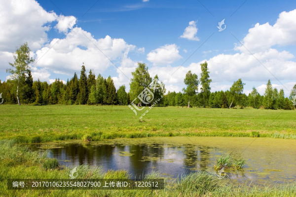 夏天的風(fēng)景