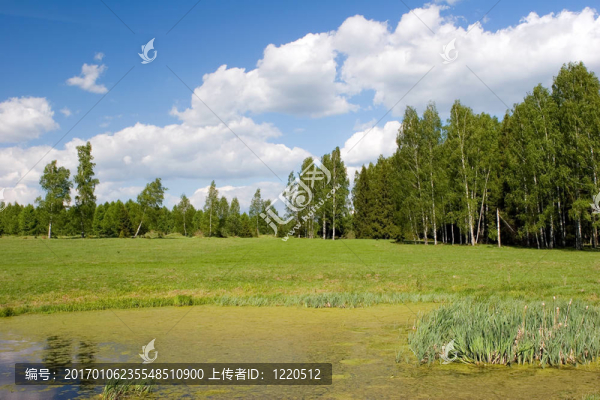夏天的風(fēng)景