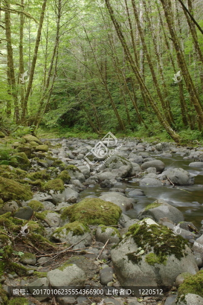 埃爾克河