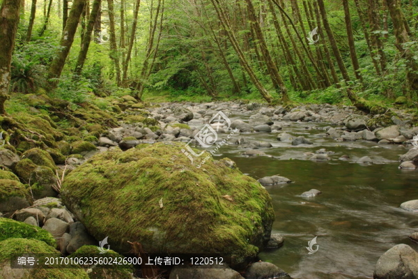 埃爾克河
