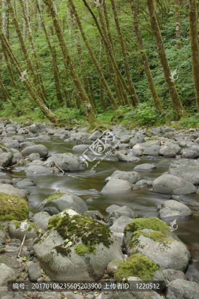 埃爾克河