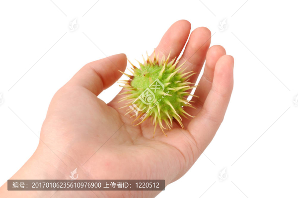 溫柔和棘手
