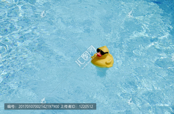 池