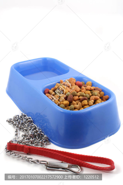 狗食和皮帶