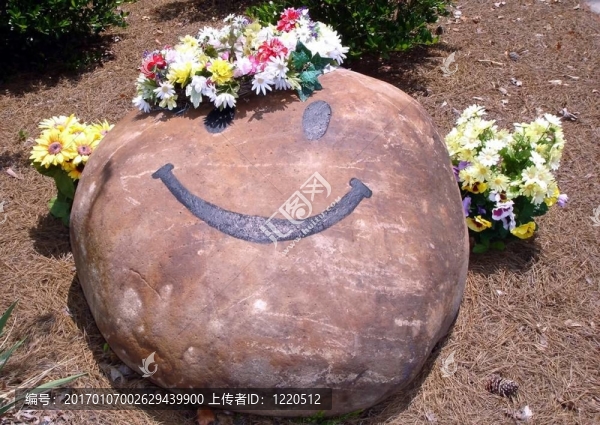 愚蠢的臉-匯圖網(wǎng) www.fosd68.com 愚蠢的臉