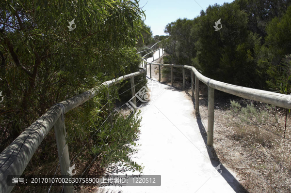 通路