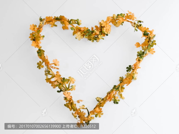 花的心上