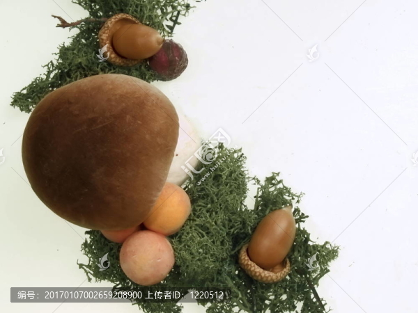 森林裝飾