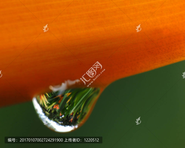 露滴-匯圖網(wǎng) www.fosd68.com 露滴