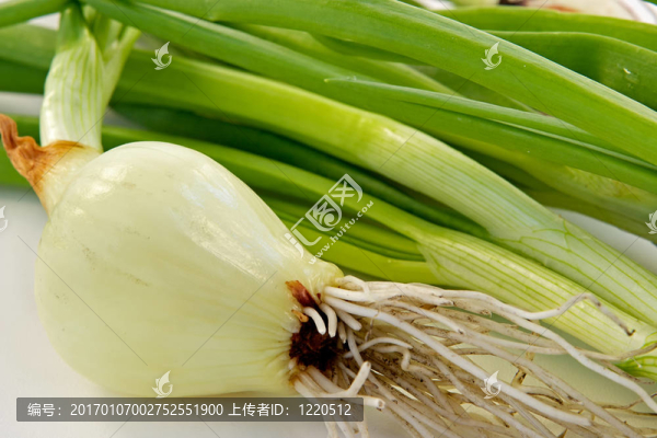 一個洋蔥
