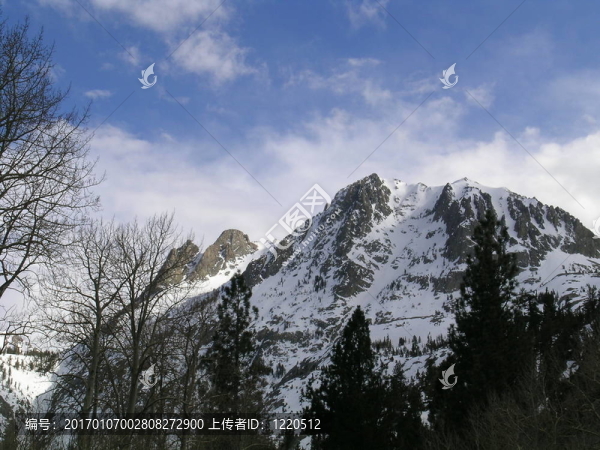 塞拉春早-匯圖網(wǎng) www.fosd68.com 塞拉春早