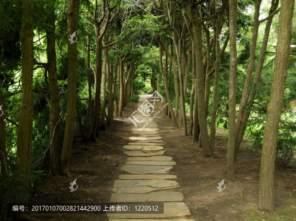 石板路