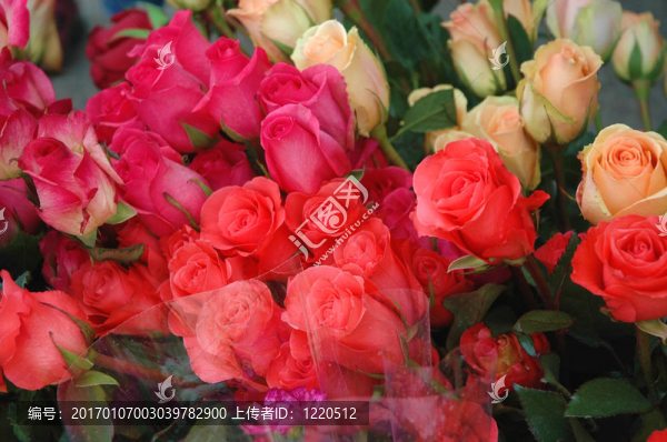玫瑰花束