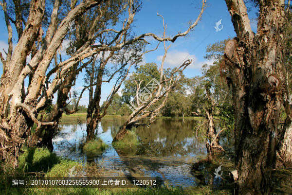 濕地3-匯圖網(wǎng) www.fosd68.com 濕地3