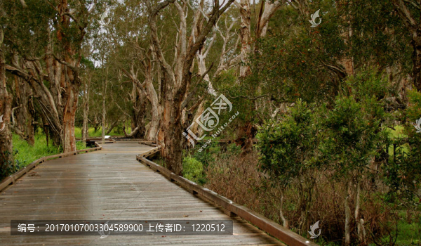 濕地1-匯圖網(wǎng) www.fosd68.com 濕地1