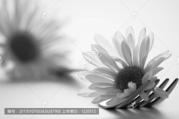 叉和花