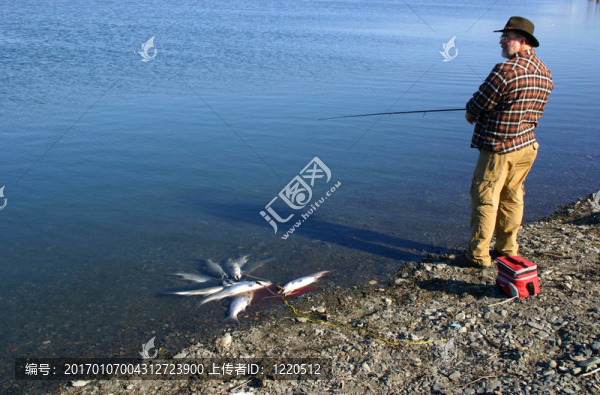 垂釣