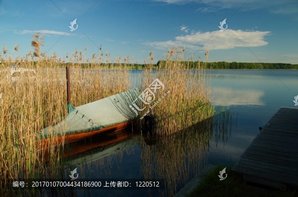 蘆葦里的木舟