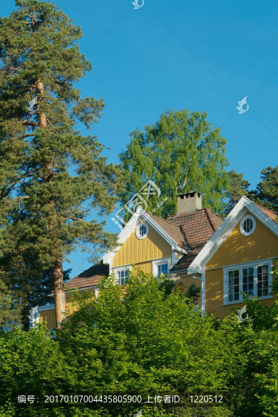 森林中的黃色房子