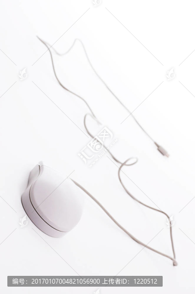 摘要小鼠