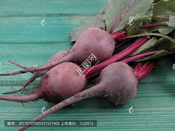 甜菜根