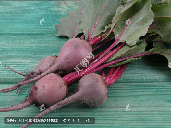甜菜根